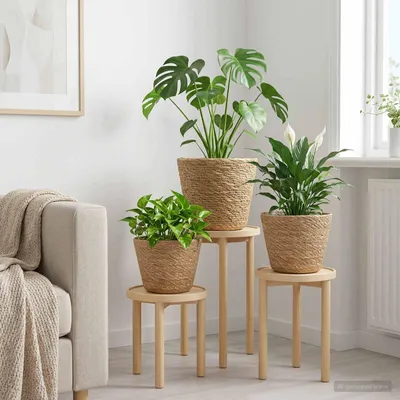 Produktbild von 3 stk. Natur Ø26 x 19 cm 100% Seegras