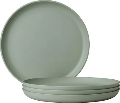 Obrázek produktu pro Plastový disk