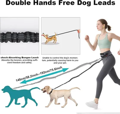 Verstellbare Joggingleine für Hunde mit Hüftgurt und abnehmbarer Hüfttasche, geeignet für mittelgroße und große Hunde bis 50