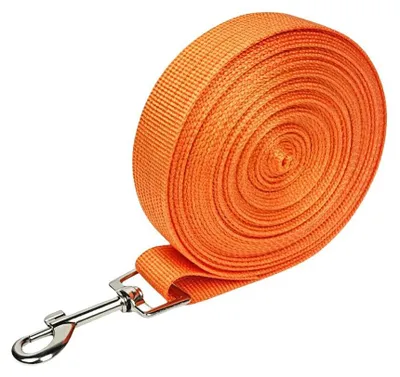 Produktbild von Hundeleine, 5 Meter, Orange, Robuste Nylon-Trainingsleine für Hunde