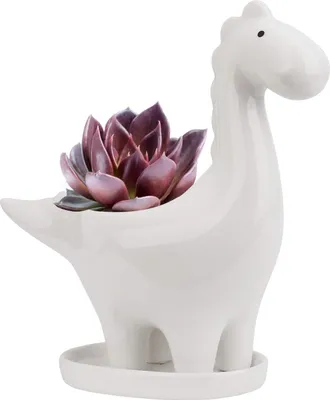 Produktbild von Famanu Keramische Blumentopf Dinosaurier - Dekorativ - Bunt