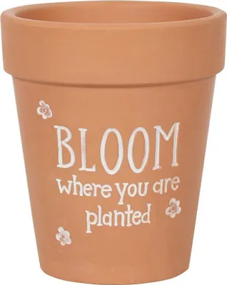 Obrázok produktu pre Niečo iné - Blumentopf "Bloom Where You Are Planted" SD4219 (17 cm x 15 cm x 15 cm) (Braun/Weiß)