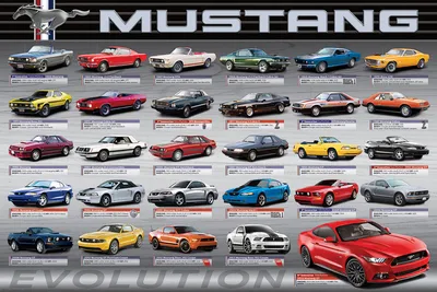 Produktbild von Poster - Autos - Ford Mustang Evolution 50th Ls