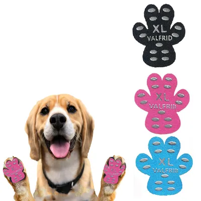 Image de Coussinets de protection antidérapants pour les pattes de chiens