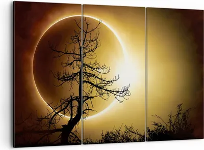 Produktbild von Bild auf Leinwand - Leinwandbild - 3 Teile - Sonnenfinsternis die Sonne Baum - 105x70cm - Wand Bild - Wanddeko - Wandbilder - Leinwanddruck - Bilder - Wanddekoration - Leinwand bilder - CE105x70-4349