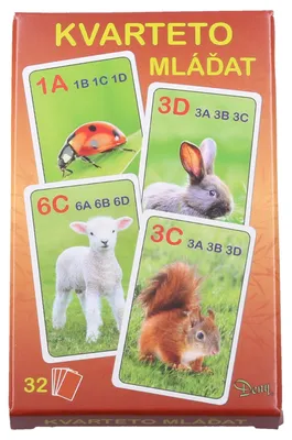 Produktbild von Das Quartett-Kartenspiel – Die Tierbabys