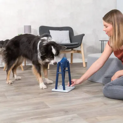 Produktbild von TRIXIE Strategiespiel für Hunde Turn Around