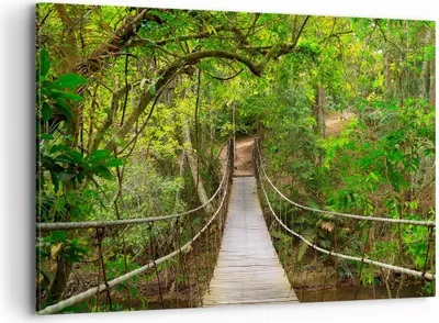 Produktbild von Bild auf Leinwand - Leinwandbild - Fußgängerbrücke Wald Abenteuer - 120x80cm - Wand Bild - Wanddeko - Leinwanddruck - Bilder - Kunstdruck - Wanddekoration - Leinwand bilder - Wandkunst - AA120x80-2678