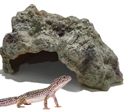 Productafbeelding van Natuurlijke Verstopplaats voor Reptielen en Amfibieën