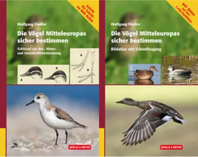 Obrázok produktu pre Die Vögel Europas sicher bestimmen