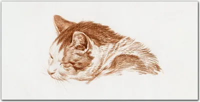 Produktbild von Coloray - Bild aus Glas - 120x60 cm - Küche wanddekoration Dekoration wohnzimmer gehärtetes Glas glasblock mit bild - Katze
