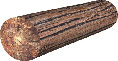 Produktbild von Bertoni Thermoelastisches Anatomisches Rollenkissen, Ideal für die Gesundheit der Wirbelsäule, Komfort und Design Ø16x55 cm