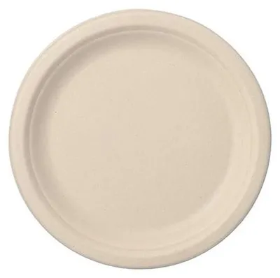 Produktbild von 500 Papstar Teller, Zuckerrohr pure ungeteilt Ø 23 cm, 2 cm natur 89866