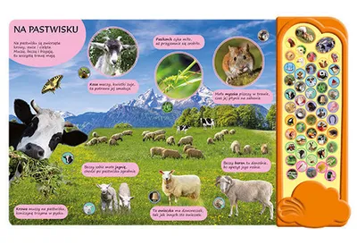 Zdjęcie produktu dla Na wsi. 50 dźwięków