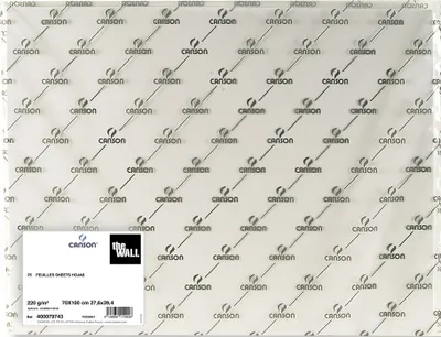 Produktbild von CANSON Zeichenpapier "The WALL" 500 x 700 mm 220 g/qm