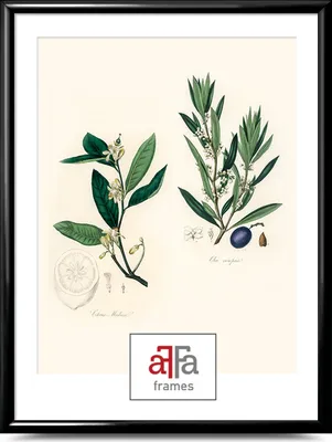 Obrázek produktu pro aFFa rámečky, plastový rámeček, akrylátové sklo, fotorámeček, plakátový rámeček, černý, 29,7x42 cm