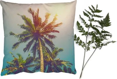 Produktbild von MuchoWow® Zierkissen Sofakissen Wohnzimmer Dekokissen 45x45 cm Palme - Sommer - Tropisch - Sonne - Schlafpolster - Polster für das Sofa