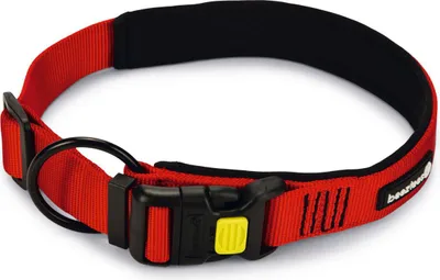 Immagine prodotto di Beeztees Parinca Premium - Collare per cani - nylon - rosso - 55-60 cm x 30
