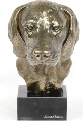 Produktbild von Weimaraner, Weimaraner Vorstehhund - Hundestatue, Büste auf Steinsockel, Skulptur, Trophäe für Hundeausstellung der Marke Art-Dog