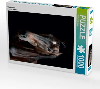 Produktbild von Calvendo Trakehner 1000 Teile Puzzle hoch 480x640mm, Heüveldop Sabine; 7459059