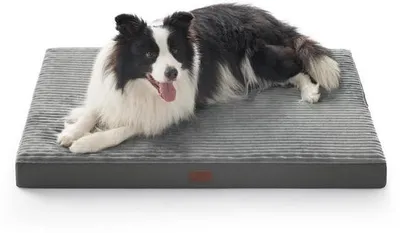 Productafbeelding van Hondenbed voor grote honden - Wasbaar hondenmandje met antislipbodem, hondenmat, grijs, 104 x 69 x 8,5 cm