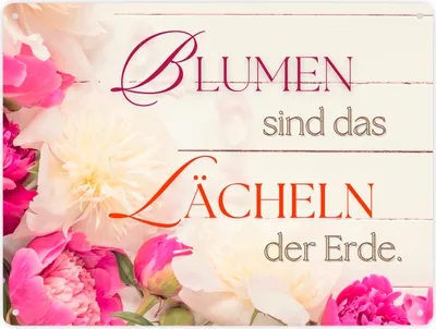 Produktbild von Blumen Metallschild XXL in 28x38 cm mit Spruch Blumen sind das Lächeln der Erde
