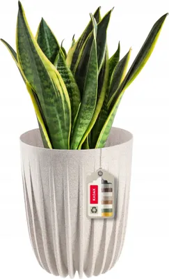 Obrázek produktu pro Plastový květináč KADAX "Costa", z přírodních materiálů, květináč, s vložkou, 25 cm, bílý