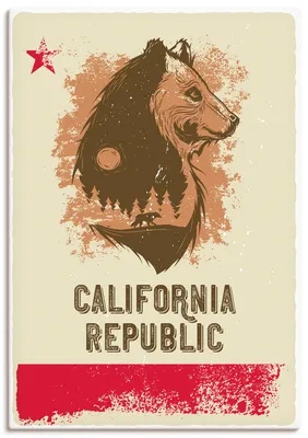 Produktbild von ARTland Leinwandbild Kalifornische Republik Größe: 70x100 cm