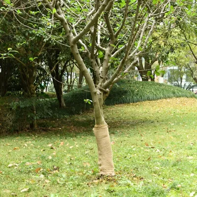 Produktbild von "SALE 2026"Jutegewebe 0,5x10 m 100% Jute 200 g/m² NEU743984 - Teppichläufer