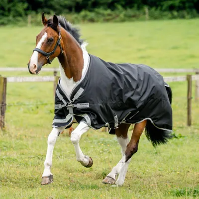Produktbild von Horseware Amigo 1200D Turnout 50g