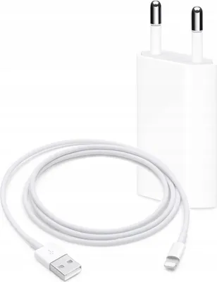 Immagine prodotto di Caricabatterie 5W + Cavo Lightning 1M