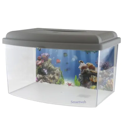 Produktbild von Miniaquarium Kinderaquarium Terrarium Transportbox Fische Goldfisch Insekten