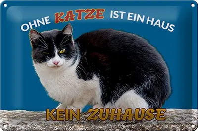 Produktbild von Blechschild Spruch 30x20cm Ohne Katze kein Zuhause