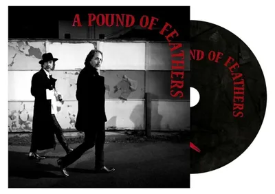 Immagine prodotto di The Black Crowes - A Pound of Feathers (CD)