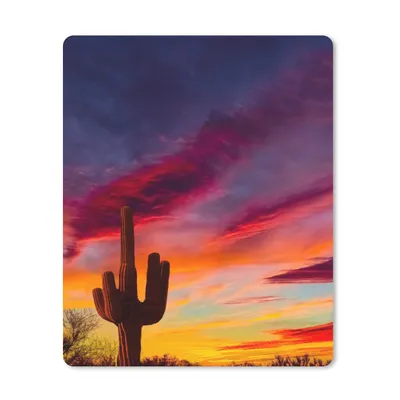 Produktbild von MuchoWow® Mauspad Mousepad Kaktus - Himmel - Sonnenuntergang - Lila - Rosa 30x40 cm - Mousepads - Maus Mat - Pad - Mausunterlage - Mausmatten