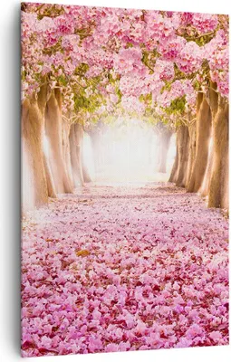 Produktbild von Bild auf Leinwand - Leinwandbild - Einteilig - Baum Blumen Kirsche Natur - 80x120cm - Wand Bild - Wanddeko - Wandbilder - Leinwanddruck - Wanddekoration - Leinwand bilder - Wandbild - PA80x120-2794