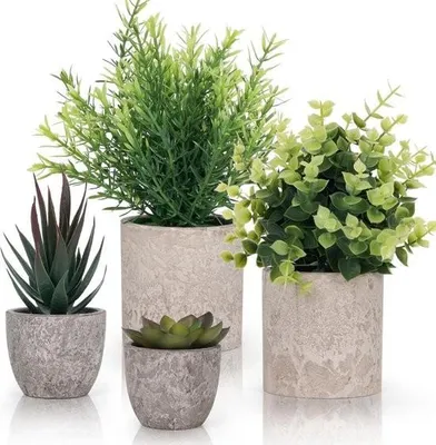 Image de Petites plantes vertes artificielles (pack de 4) - Plantes artificielles décoratives pour pots intérieurs dans la salle de bain et le bureau - Eucalyptus et succulentes