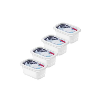 Produktbild von Rotho Set Gefrierdosen 4 tlg. 7550602120