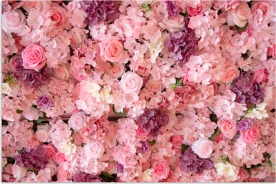 Produktbild von MuchoWow® Poster Blumen - Rosa - Rosen 60x40 cm - Schlafzimmerdekoration