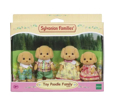 Image de Familles Sylvaniennes Famille Caniche Toy