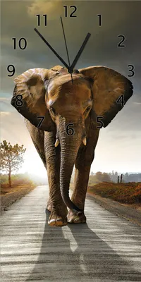 Produktbild von Wallario Design Wanduhr Elefant bei Sonnenaufgang in Afrika aus Echtglas, Größe 30 x 60 cm