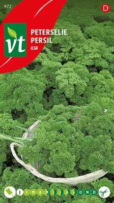 Obrázok produktu pre Semená petržlenu Ilsa - cca 3 gr | VT_972