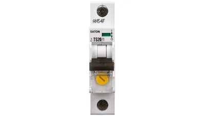 Immagine prodotto di Interruttore di tariffa 1P 13-20A Z-TS20/1 266850