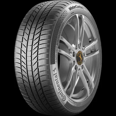 Immagine prodotto di Pneumatici CONTINENTAL 255/40 R21 102T WinterContact™ TS870P S-I XL