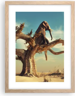 Produktbild von Gerahmtes Poster - Rahmen in heller Eiche - Sitzen Elefant Baum - 30x40 cm - Wand Bild - Wanddeko - Wandbilder - Wandposter - Bilderrahmen - Bilder - Kunstdruck - Wandbild - P2NPA30x40-4345