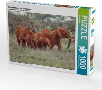 Produktbild von Calvendo Elefantenherde mit Jungtieren 1000 Teile Puzzle quer 640x480mm, Michel Susan; 7289385