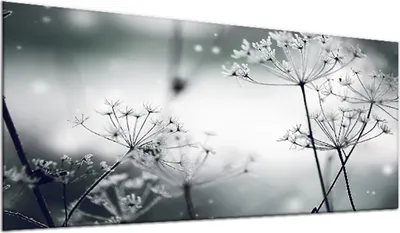 Produktbild von Herdabdeckplatte Abdeckung Glaskeramikkochfeld Abdeckplatte 1-Teilig 90x52 Pusteblume Grau