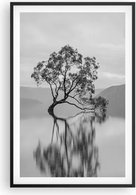 Produktbild von Gerahmtes Poster - Schwarzer Rahmen - Baum Symmetrie See - 61x91,5 cm - Wand Bild - Wanddeko - Wandbilder - Kunstposter - Wandposter - Bilderrahmen - Bilder - Kunstdruck - P2BPA61x91-4514