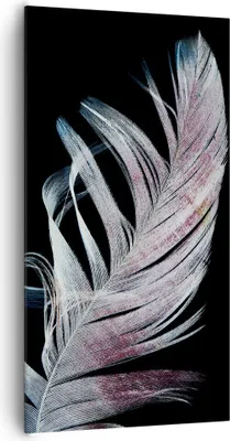 Produktbild von Bild auf Leinwand - Leinwandbild - Einteilig - Feder die Farben Zartheit - 65x120cm - Wand Bild - Wanddeko - Wandbilder - Leinwanddruck - Bilder - Wanddekoration - Leinwand bilder - PA65x120-4959