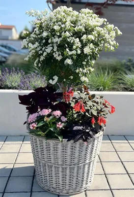 Produktbild von Rattan Pflanzkorb "Rustikal" rund Ø 60x45 cm groß, grau, Outdoor Blumentopf, Pflanzkübel, Pflanztopf für Draußen, Blumenkübel
